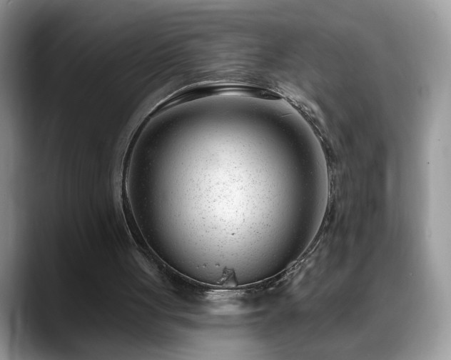 X0000088900051200706081313