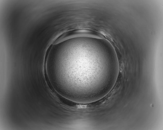 X0000088900052200706081313