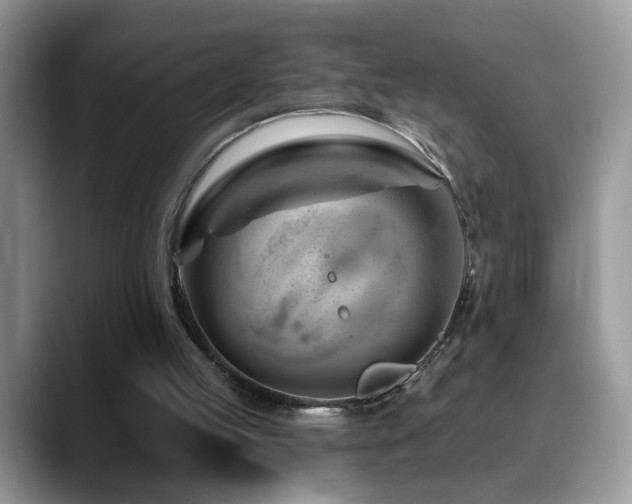 X0000088900053200706081313