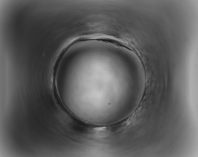 X0000088900054200706081313