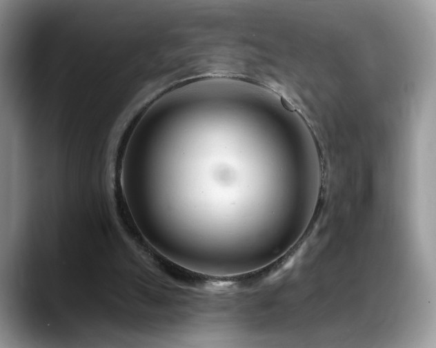 X0000088900055200706081313