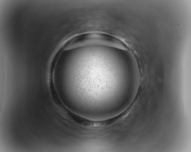 X0000088900056200706081313