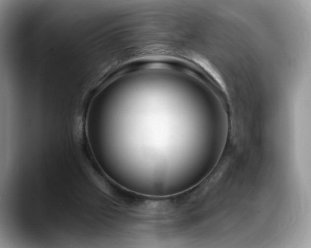 X0000088900057200706081313
