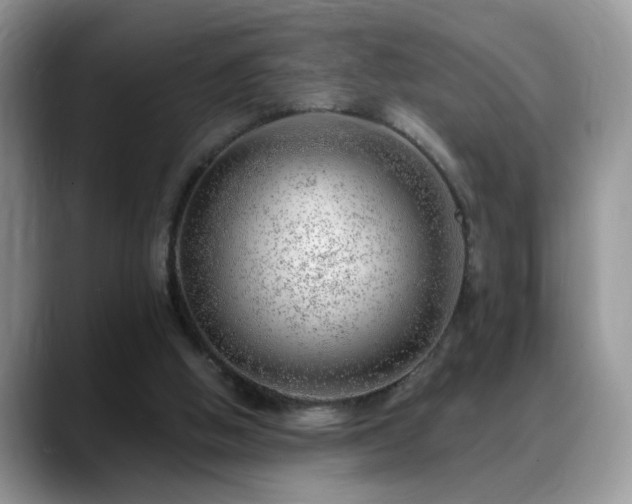 X0000088900058200706081313