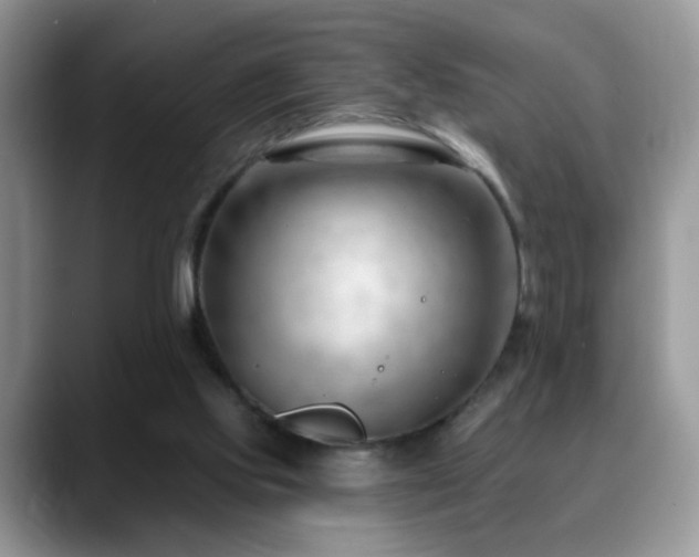 X0000088900061200706081313