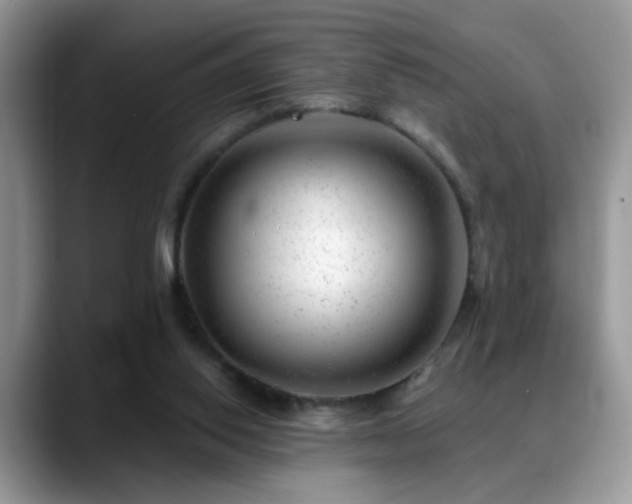 X0000088900062200706081313