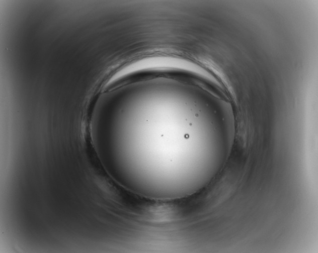 X0000088900063200706081313