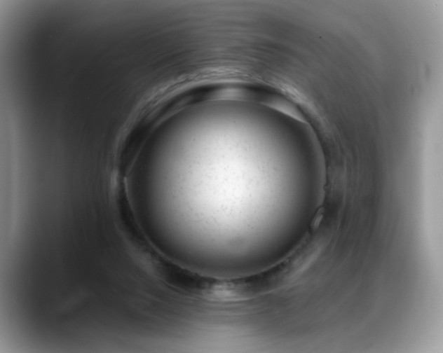 X0000088900064200706081313