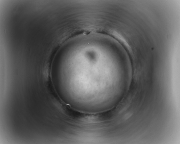 X0000088900065200706081313