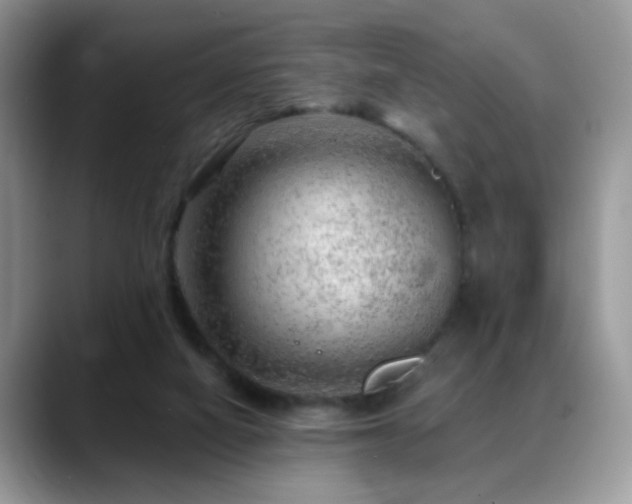 X0000088900066200706081313