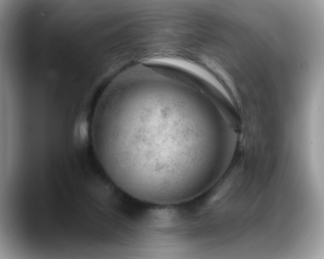 X0000088900067200706081313