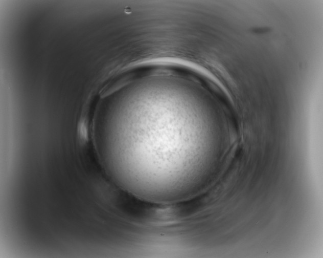X0000088900068200706081313