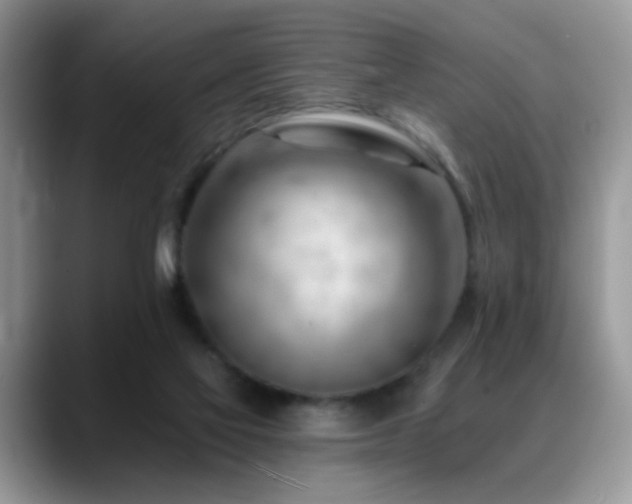 X0000088900069200706081313