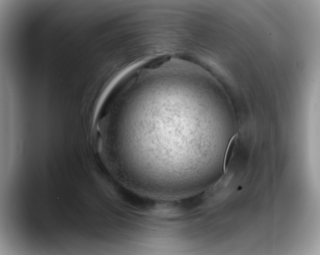 X0000088900070200706081313