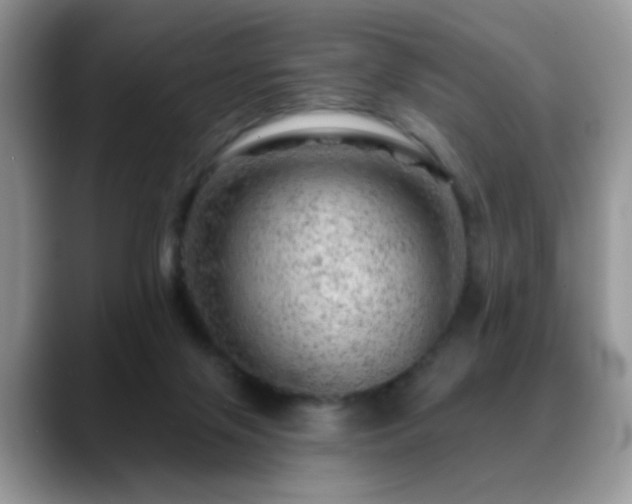 X0000088900071200706081313