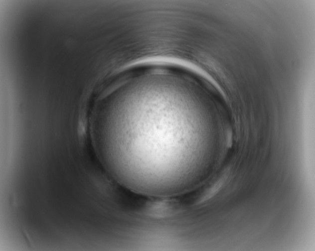 X0000088900072200706081313