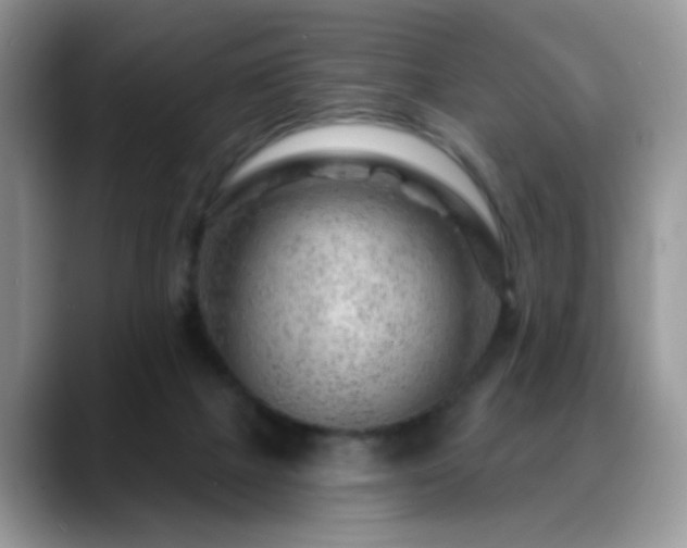 X0000088900073200706081313