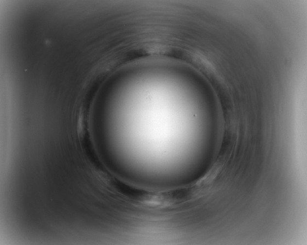X0000088900074200706081313