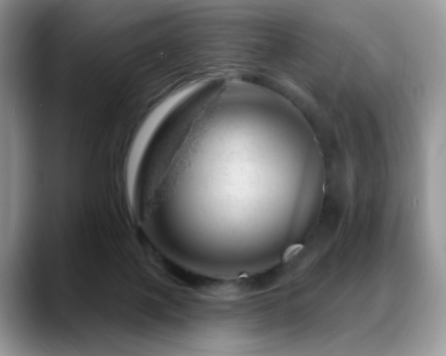 X0000088900075200706081313