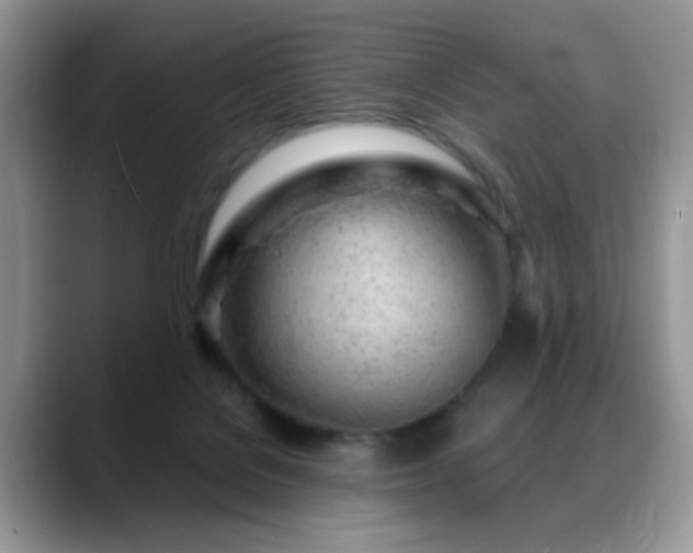 X0000088900076200706081313