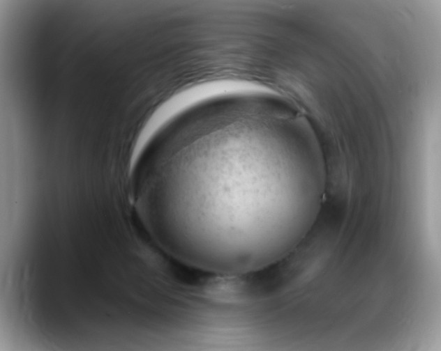 X0000088900077200706081313
