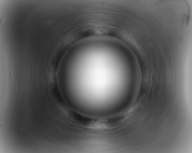 X0000088900078200706081313