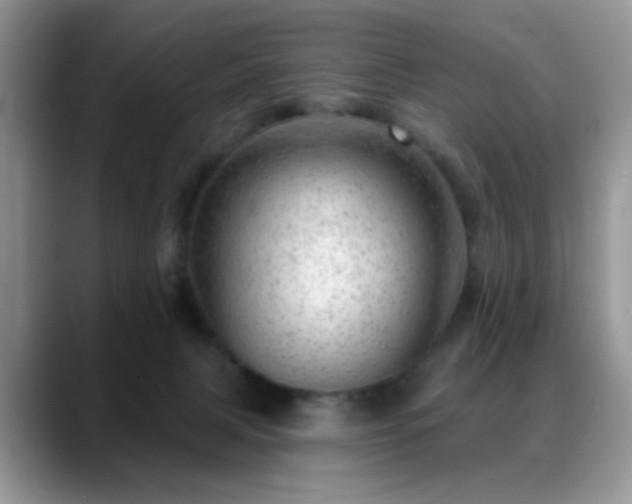 X0000088900079200706081313