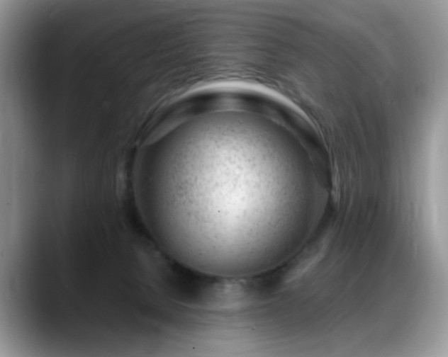 X0000088900080200706081313