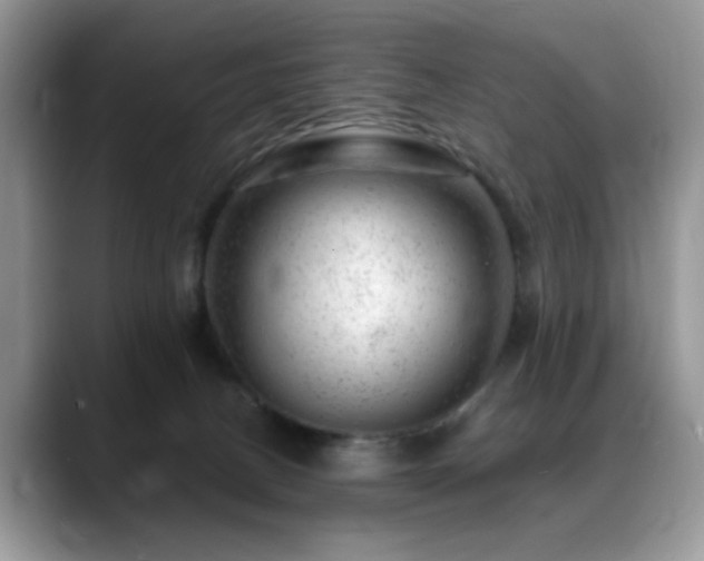 X0000088900082200706081313