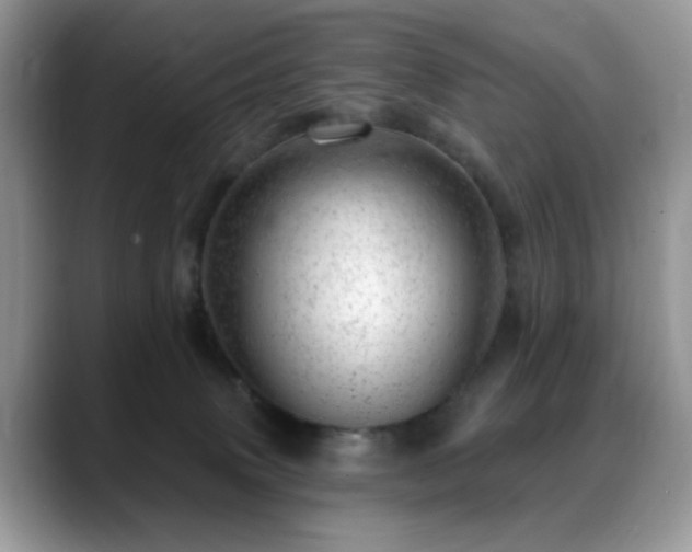 X0000088900083200706081313