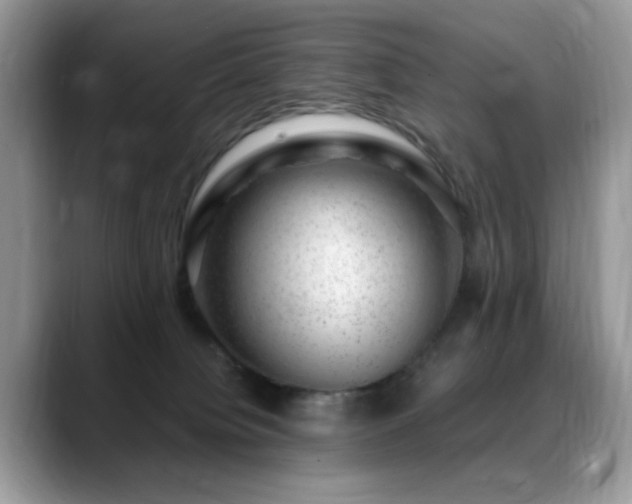 X0000088900084200706081313