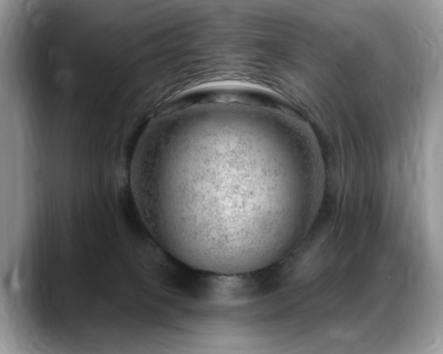 X0000088900085200706081313