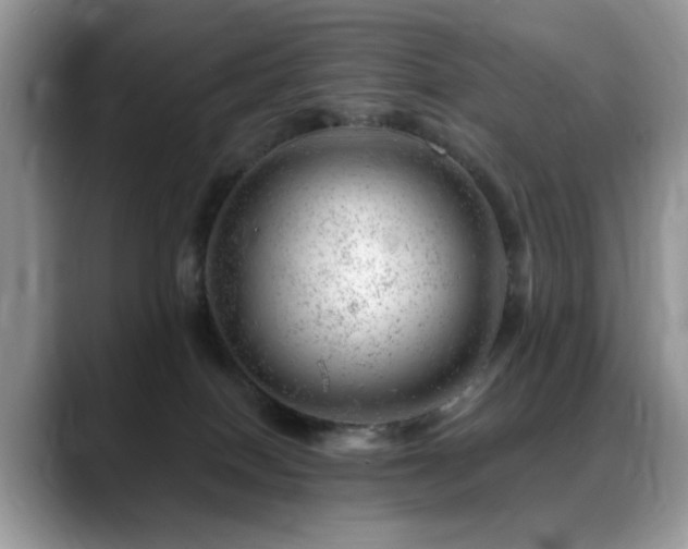 X0000088900086200706081313