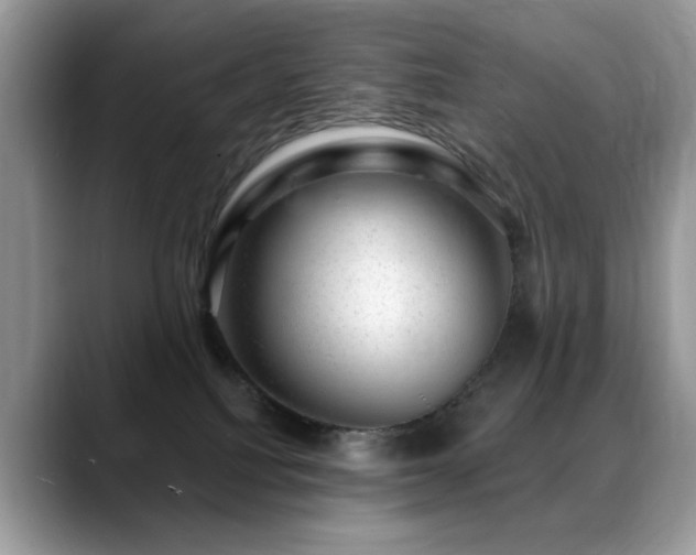 X0000088900088200706081313