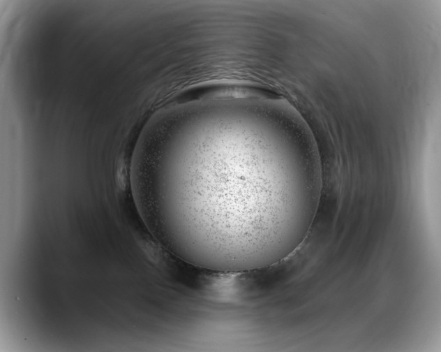 X0000088900090200706081313