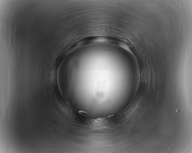 X0000088900092200706081313