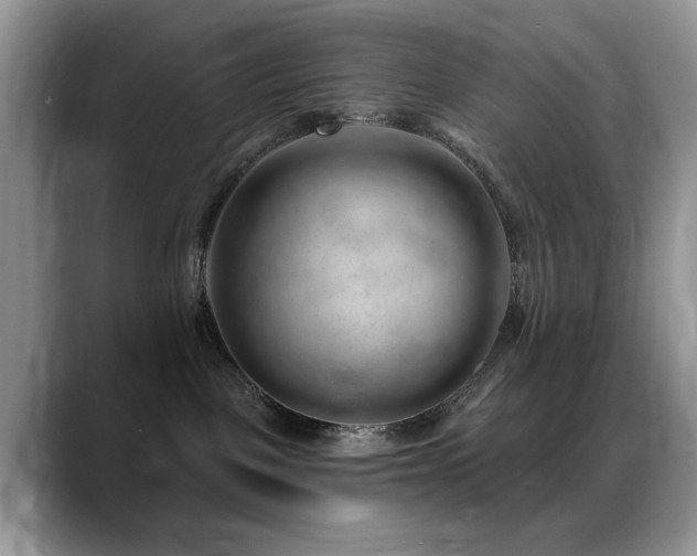 X0000088900093200706081313
