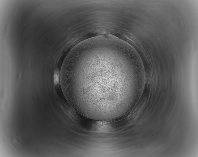 X0000088900095200706081313