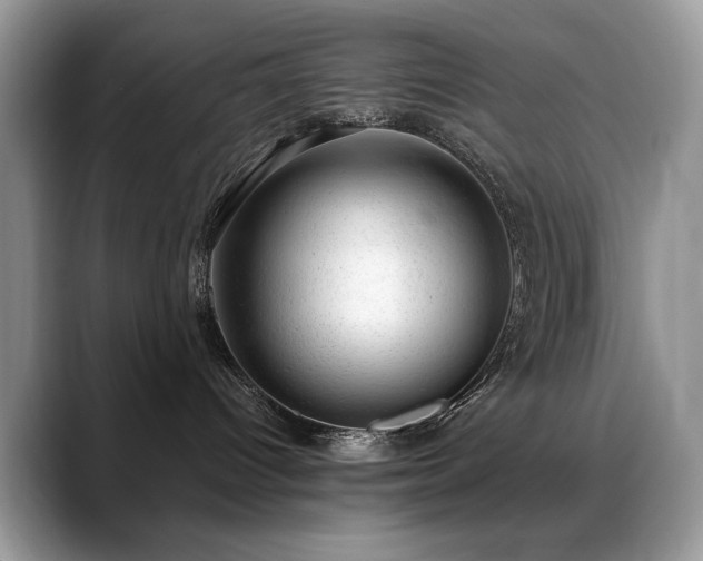 X0000088900096200706081313