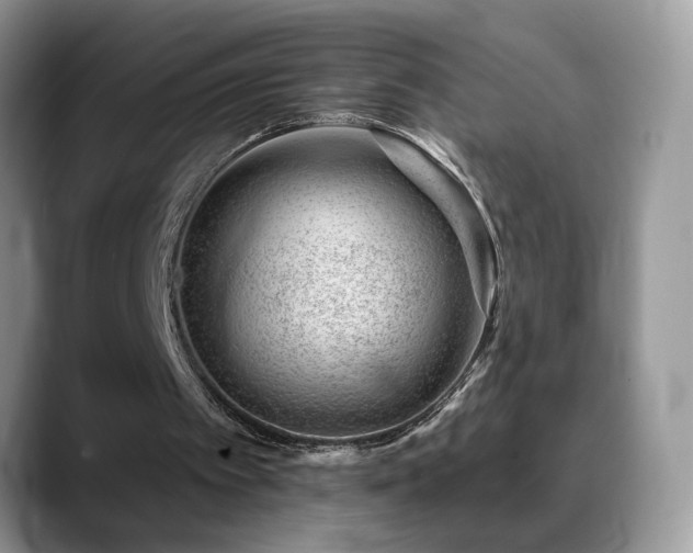 X0000088900097200706081313