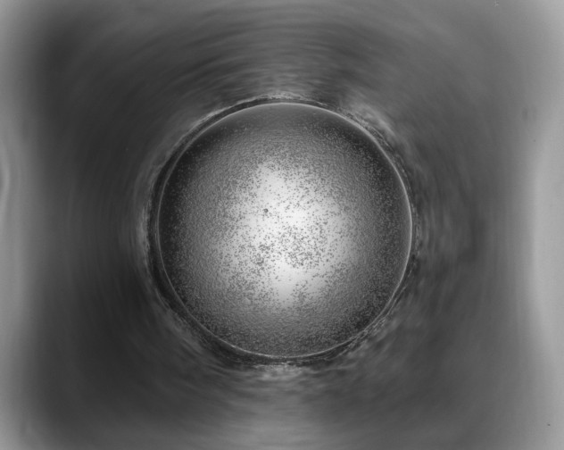 X0000088900098200706081313