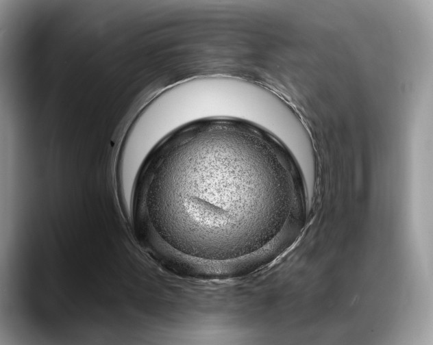 X0000088900099200706081313
