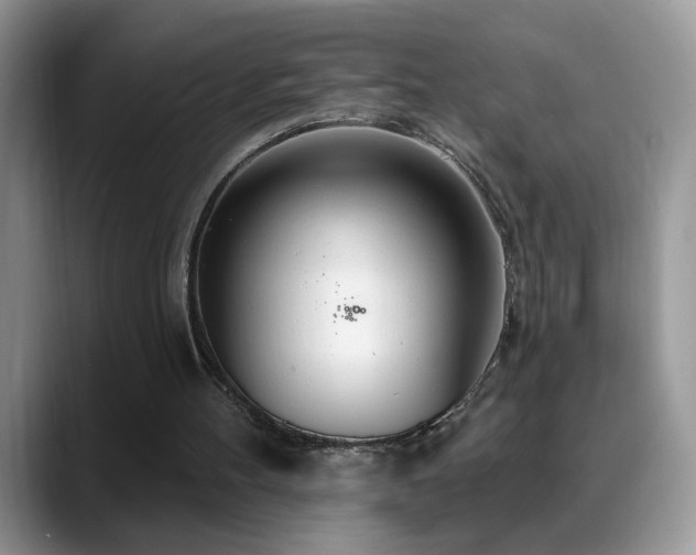 X0000088900100200706081313