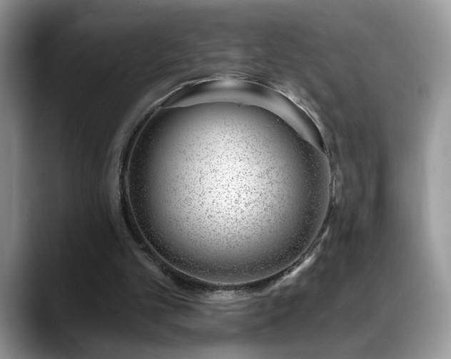 X0000088900101200706081313