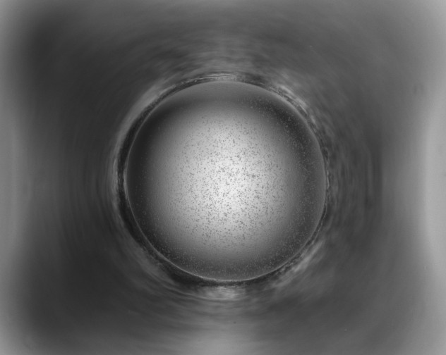 X0000088900102200706081313