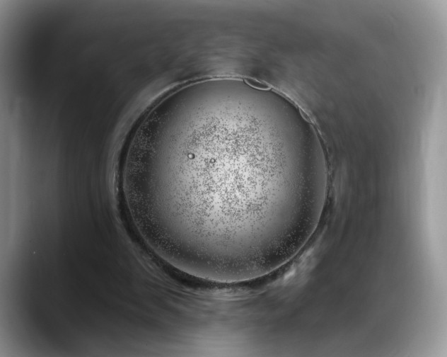 X0000088900103200706081313