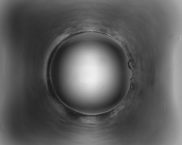 X0000088900104200706081313