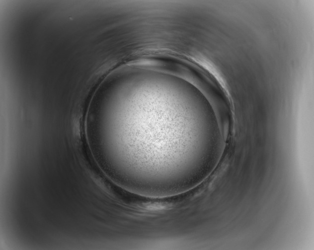 X0000088900105200706081313