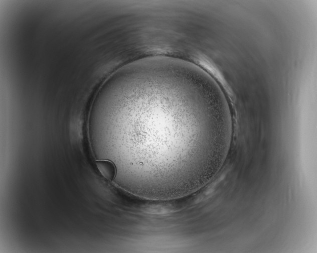 X0000088900106200706081313