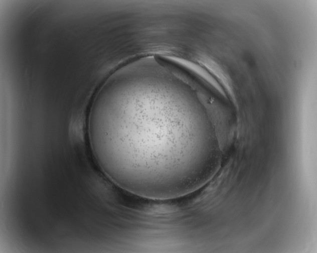 X0000088900107200706081313